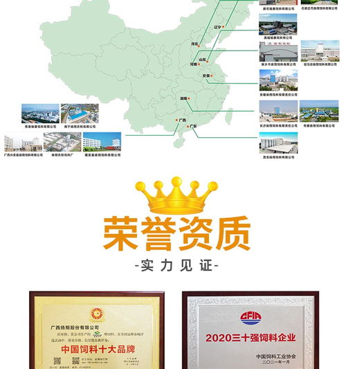 4%中猪复合预混合饲料翔云1003 科学养殖的高效之选